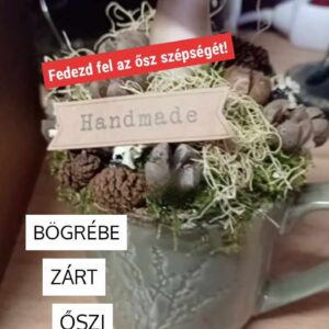 bogrebe zart oszi csoda