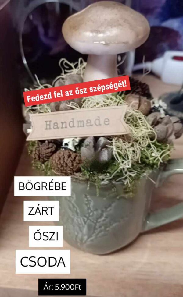 bogrebe zart oszi csoda