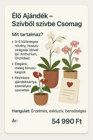 csomag 79