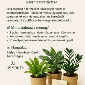 kicsi keo csomag egy darab termeszet