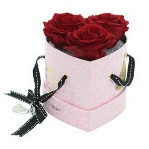 3 fejes örökrózsa box